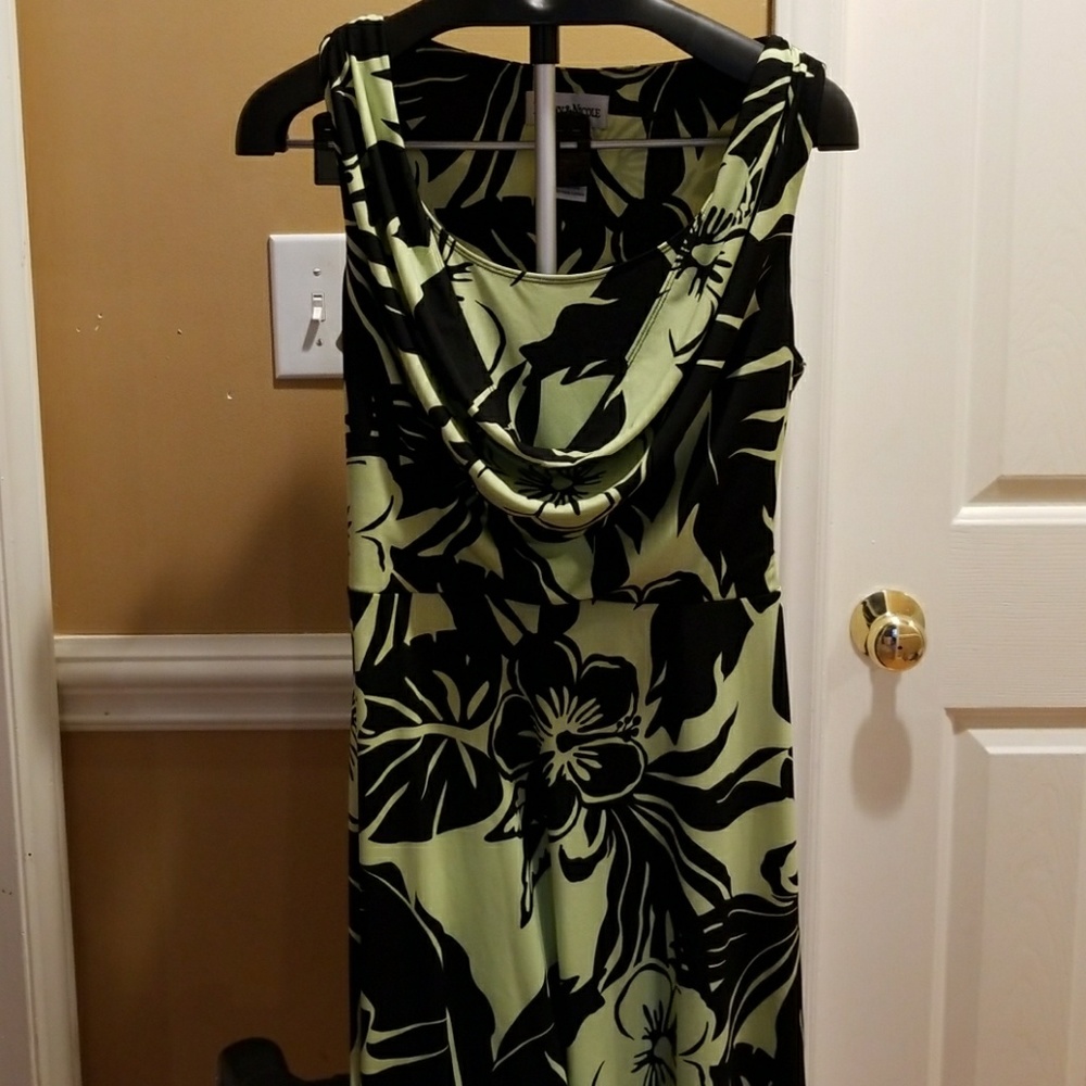 Ladies dress